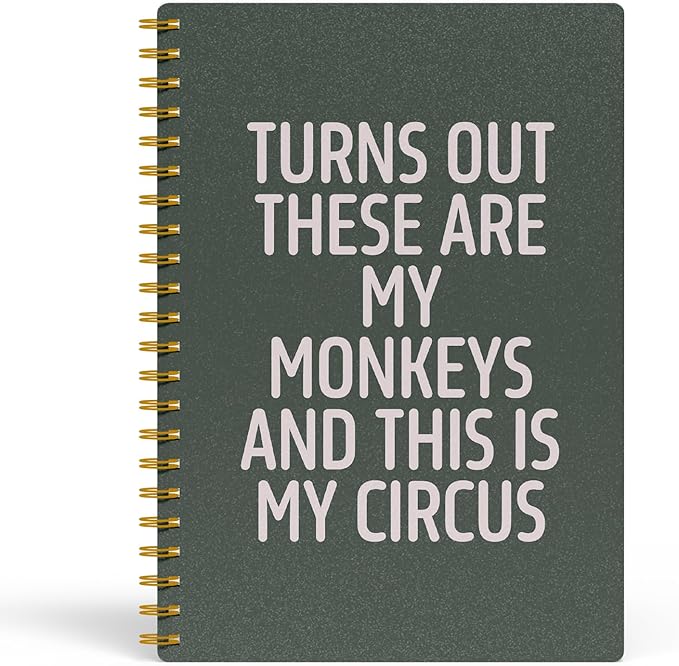 Funny Notebooks for Work, Green Aesthetic Journal, Funny Boss Day Gifts, Boss Gifts for Men Women, Funny Gifts for Boss, Boss Office Decor, Spiral Notebook 5.5x8.3 Inch