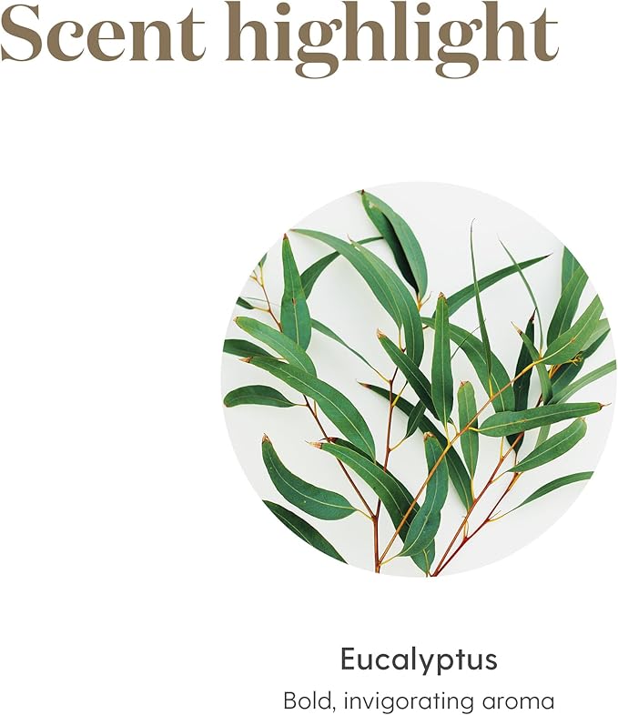 Eucalyptus Radiata Essential Oil 15ml by Young Living Essential Oils