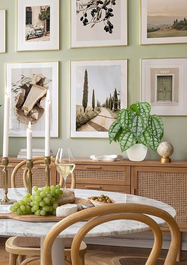 Fake Plants Small Artificial Plants Indoor Set of 2 Faux Plants with Pots Realistic Monstera Fake Potted Plants Artificial Decor for Home Bedroom Aesthetic Bathroom Shelf Living Room Office Table