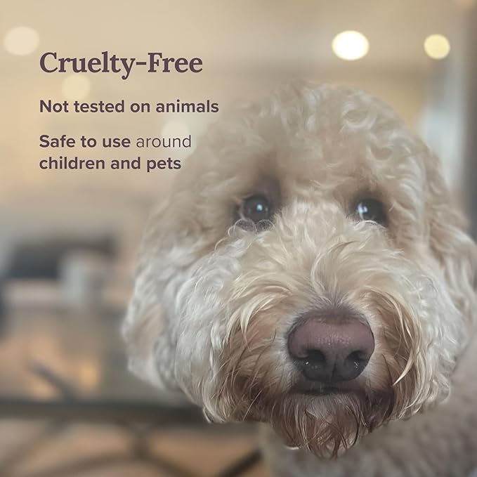 Magnificent 101 Long Lasting Pure Sage Smudge Candle - 6 Oz - 35 Hour Burn Time - Soy Wax Candle for House Energy Cleansing, Aromatherapy & Manifestation - Spiritual Gifts for Women