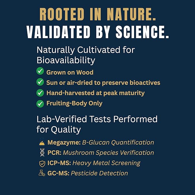 Monkey Brew Original - USDA Organic Mushroom Tea Drink - Non-Caffeinated Mushroom Coffee Alternative with Cacao Powder, Lion's Mane, Turkey Tail, Ashwagandha, Turmeric - Boosts Energy Focus & Immunity