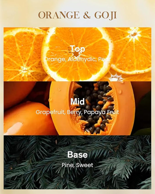 M&SENSE Orange Goji Scented Natural Soy Wax Candle, 14.1oz 60 Hours Long Lasting Slow Burning Candles for Home Decor, Aromatherapy Candle for Stress Relief