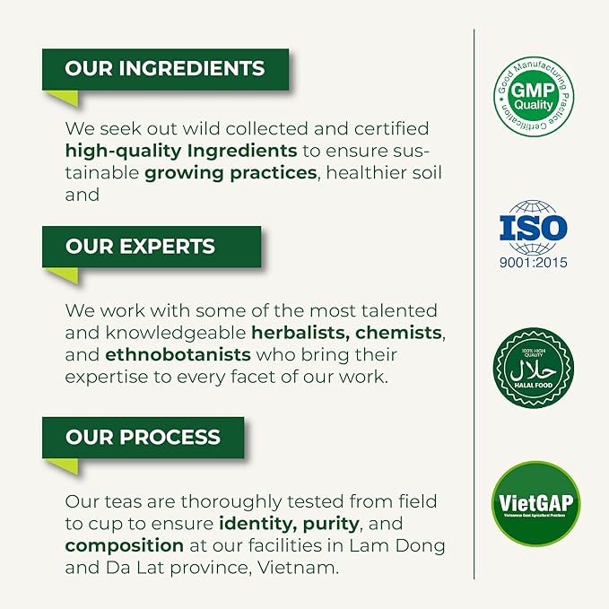 LeafLea 240 Premium Soursop Leaf Tea Bags, 100% Dried Soursop Graviola Leaves with a Smooth, Earthy Flavor, Hoja Guanabana Leaf Herbal Tea Bags for Natural Digestion Support, No Caffeine, Sugar-Free