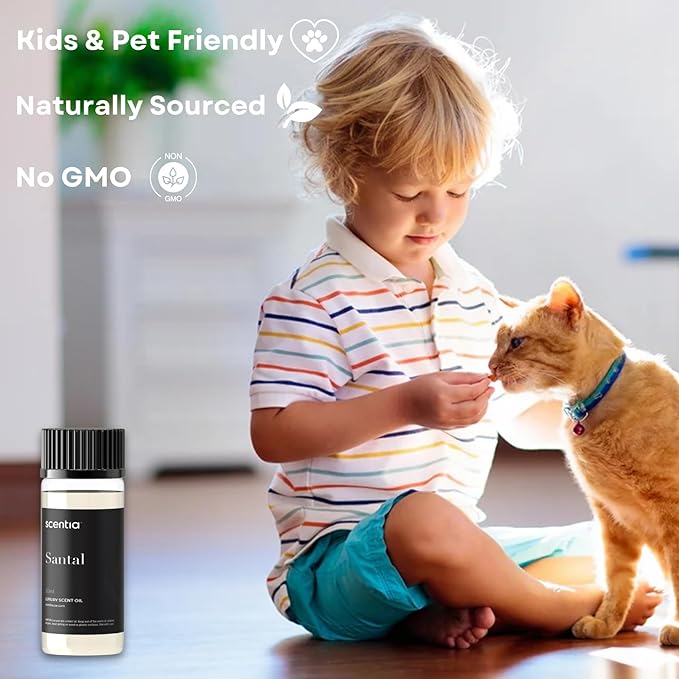 Santal Diffuser Oil 50ml – Santal 33 Inspired Aroma – Rich Sandalwood, Amber, Vanilla & Musk – Long-Lasting Scent for Home, Office, Cold-Air & Ultrasonic Diffusers