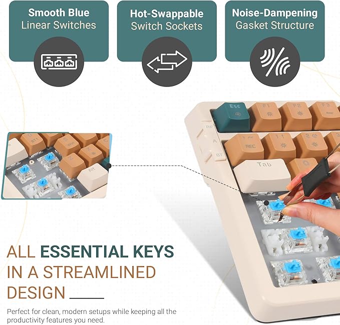 Qisan Wireless/Wired Mechanical Keyboard, Triple Mode 2.4G/USB-C/BT Wireless Gaming Keyboard, 100 Keys (98%) US Layout Blue Switch Rechargeable RGB Backlit Keyboards | Brown Combo