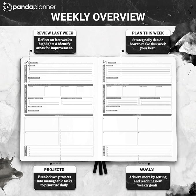 Panda Planner Pro 2025-2026 – 6 Month Large 8.5x11 Undated Academic & Productivity Planner – Weekly, Monthly & Daily Agenda, Calendar Organizer, Work Planner, and Personal Development Tool – Large, Black