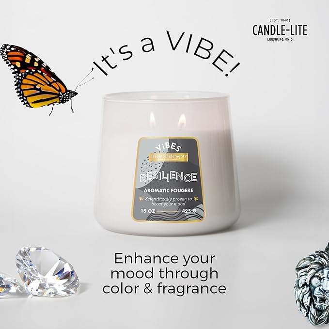 Candle-Lite Vibes Aromatic Fougere Mood-Enhancing Scented Candles, 15 oz Jar, Aromatherapy, Proudly Poured in The USA, 2-Wick, 86 Hours Burn Time, Perfect Relaxation Gift