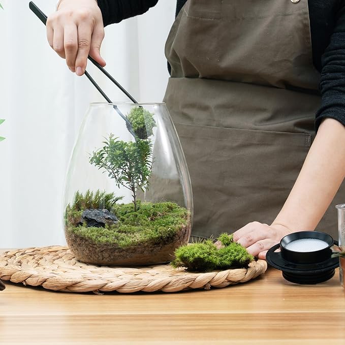 Desktop Glass Terrarium with Grow Light (H:7.8" D:6.7"), for Succulent, Moss, Miniature Gardening Landscape, Betta Fish Tank, Indoor Plant Growth, Office Home Decoration, Plant Lovers Gifts