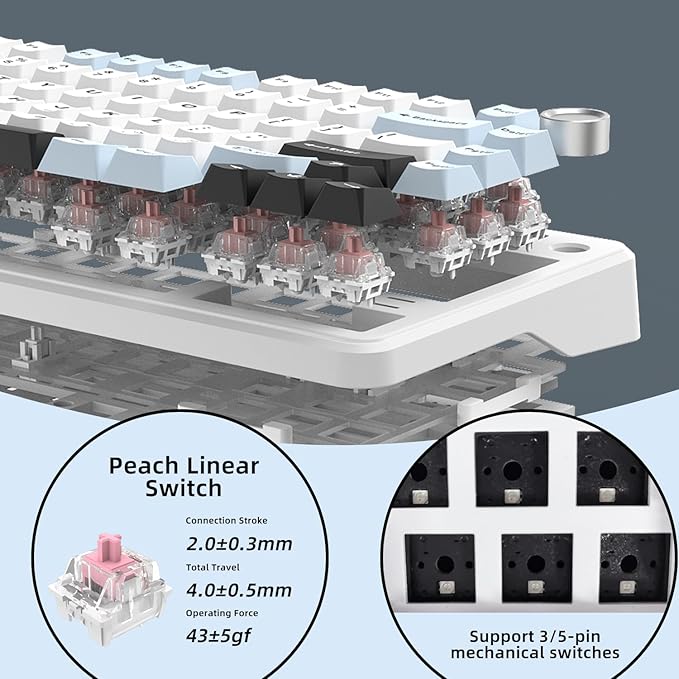 75% Wired Hot Swappable Mechanical Keyboard with Metal Knob | Mount Gasket | Programmable RGB Backlit & Adjustable Side Lighting (Peach Linear Switch)