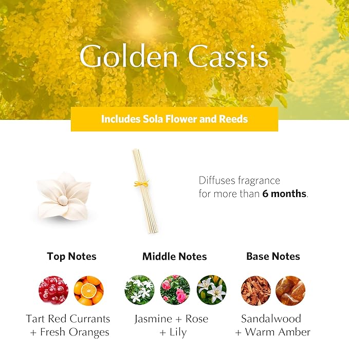 AGRARIA PetiteEssence Flower and Reed Diffuser Set, Hand Crafted Sola Flower Botanical Home Fragrance Set, Scented Oil Gift for All Occasions