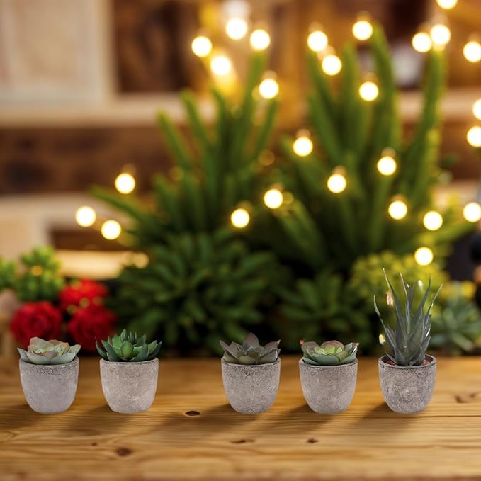 Artificial Succulent Plants Potted Set of 5,Faux Succulent Plants Potted Realistic Fake Succulents in Eco-Friendly Pots for Home Decor, Lifelike Low-Maintenance Desk Decor Gift
