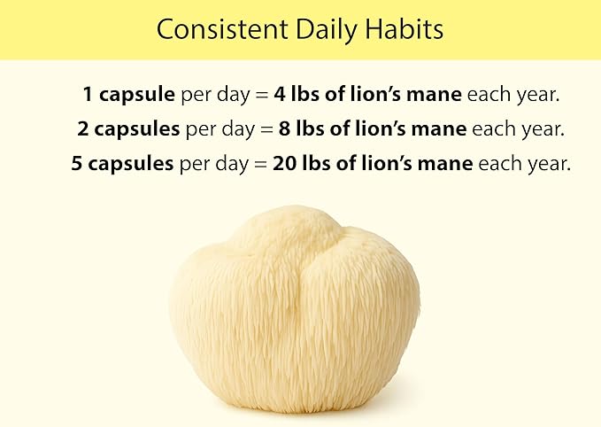 KOYAH Organic Lion's Mane Capsules - USA Grown, 100% Fruiting Body, Freeze-Dried, 3rd Party Tested for Beta-Glucans, 500 mg, Non-GMO, Vegan. Brain & Nerve Support. Immune Support. 60 Capsules