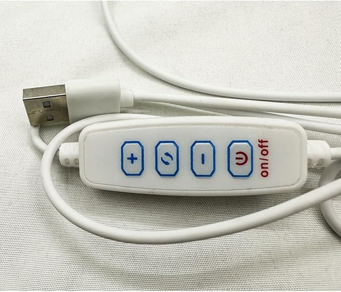 Ulalaza Fire Dragon lamp ice Dragon lamp 3D Printing Night lamp Moon lamp with USB Gift Suitable for Decorating Bedroom