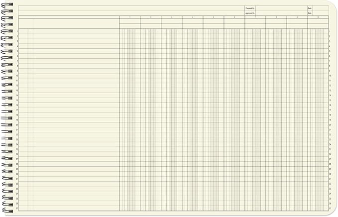 BookFactory Accounting Ledger Notebook/Large 10 Column Accounting Ledger Columnar (Ten Columns) Log Book - 17'' x 11'', 100 Pages, Wire-O Landscape Format (LED-100-CLCW-PP(17x11-Ledger-10)-AX)