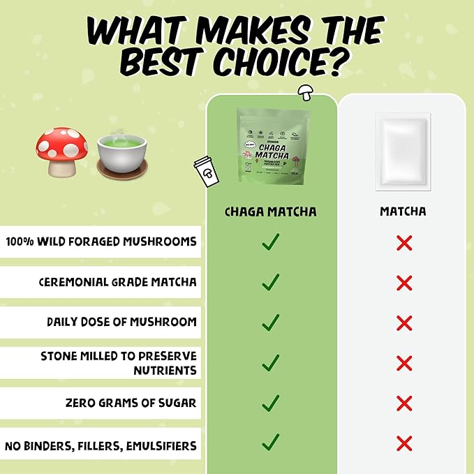 Renude Chaga Matcha - Chaga Mushroom Powder, Superfood Drink Mix with Adaptogens, Ceremonial Grade Mushroom Matcha, Keto, Vegan, Sugar Free, Natural Energy and Immune Support - 30 Servings