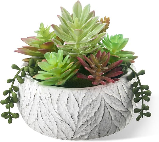Artificial Succulent Plants Fake Potted Indoor with Ceramic Pot - Home Office, Bedroom, Bathroom Decor - Low Maintenance Desk Plants for Coffee Table & Room Aesthetics