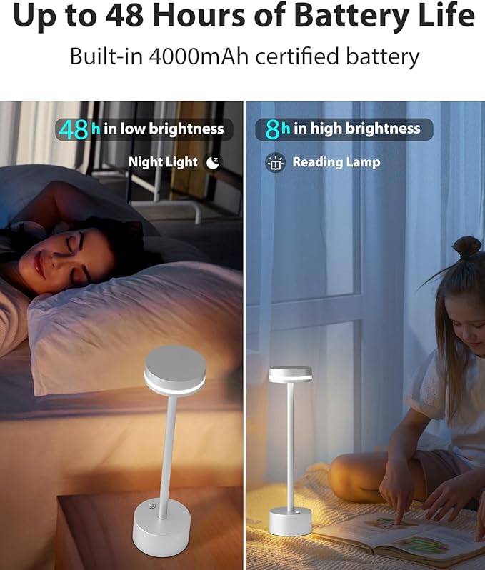 Modern LED Rechargeable Cordless Table Lamp with Touch Sensor, Aluminum Shell, 4000mAh Certified Battery, 3 Levels Brightness, USB-C Charging Port, 3000K Portable Metal Bedside Lamp (Silver)