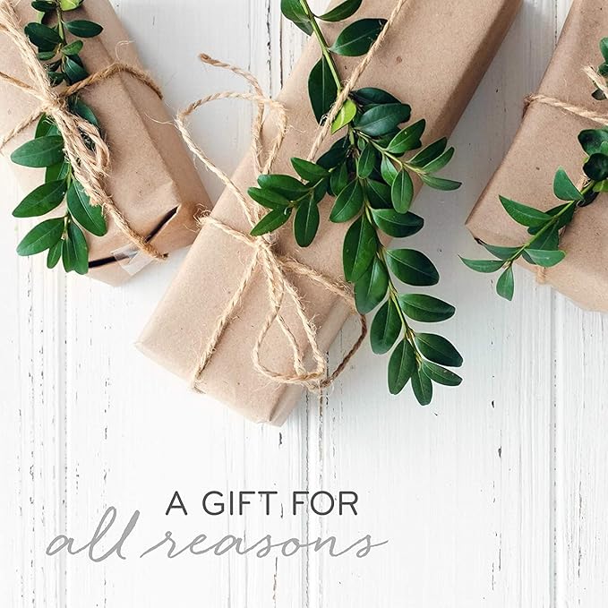 Thymes Simmered Cider Reed Diffuser Oil Refill – Home Fragrance Oil for Diffuser – Holiday Reed Diffuser Refill - Simmered Cider – Aromatherapy Diffuser Oils Scents (7.75 fl oz)