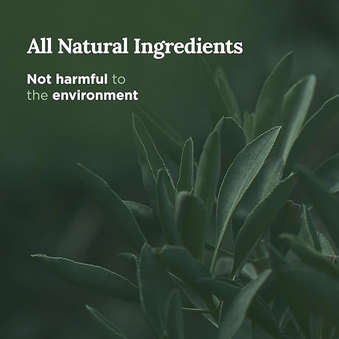 MAGNIFICENT 101 Sage & Clove Aromatherapy Candle - 6 Oz White Soy Wax - 35-Hour Burn Time - Long Lasting Sage & Energy Cleansing - Manifestation & Spiritual Decor