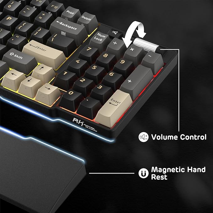 RK ROYAL KLUDGE RK96 RGB Limited Ed, 90% 96 Keys Wireless 3-Mode BT5.0/2.4G/USB-C Hot Swappable Mechanical Keyboard w/Wrist Rest, Volume Control, Software, Massive Battery, RK Viridian Switch