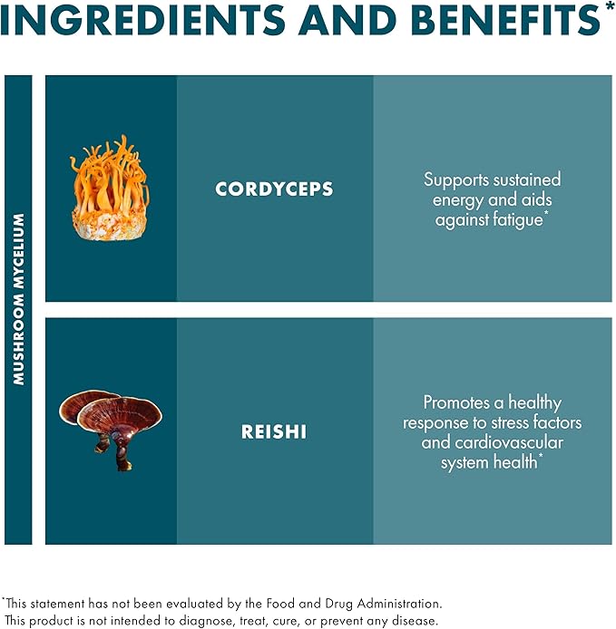 Host Defense CordyChi Extract - Energy & Immune Support Supplement - Cordyceps & Reishi Mushroom Supplement for Relaxation & Respiratory Support - Aids Against Tiredness - 1 fl oz (30 Servings)*