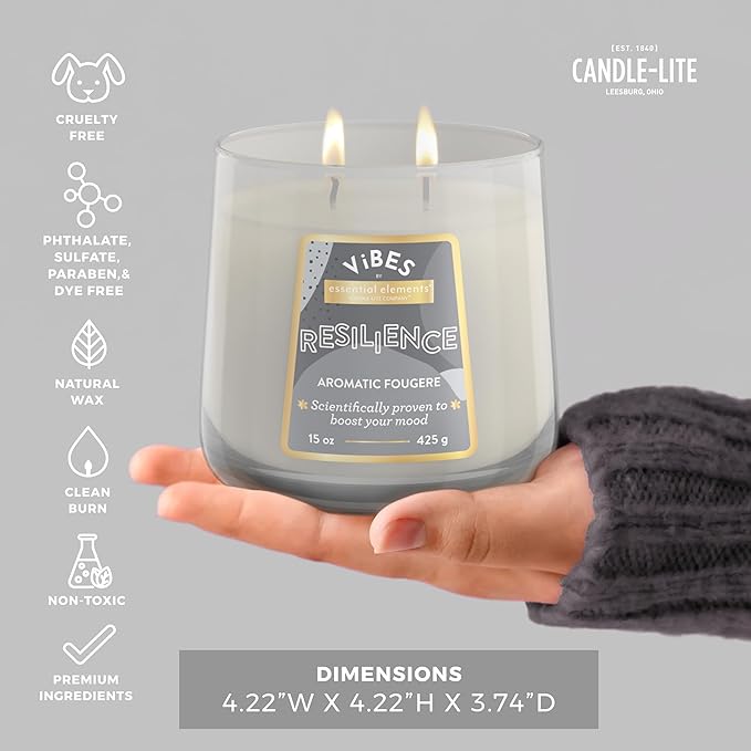 Candle-Lite Vibes Aromatic Fougere Mood-Enhancing Scented Candles, 15 oz Jar, Aromatherapy, Proudly Poured in The USA, 2-Wick, 86 Hours Burn Time, Perfect Relaxation Gift