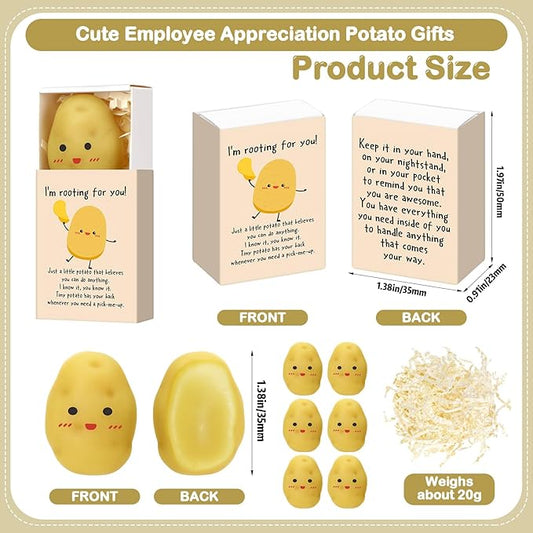 Wettarn 24 Sets Potato Support Gifts Cute Stress Balls with Gift Boxes Inspirational Party Favors for Employee Coworker Friends Office Positive Relief Toys