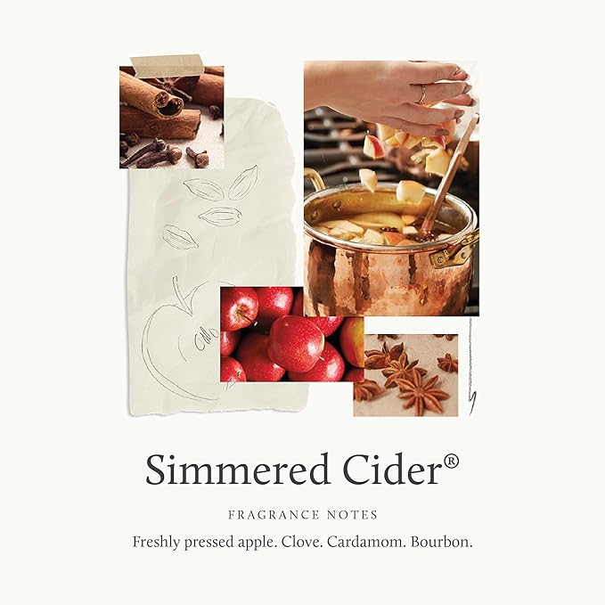 Thymes Petite Oil Reed Diffuser Set – Includes Reed Diffuser Sticks, Fragrance Oil, & Glass Bottle – Luxury Home Decor – Fall Decor – Fall Scents – Rose Gold (Simmered Cider, 4 fl oz)