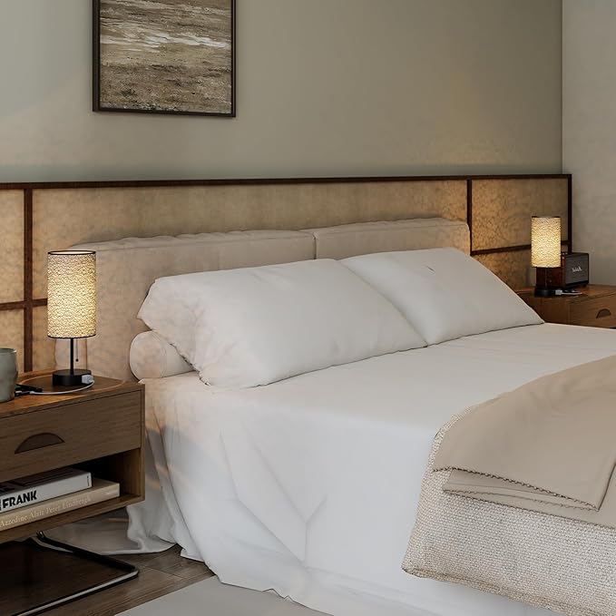 Table Lamp for Bedroom,Nightstand Lamp for Bedside with AC Outlets,Adjustable 3color LED Light Desk Lamp for Home Decor,Included Bulb and Lamp Shade (Black-OnlyAC, 2PCS)