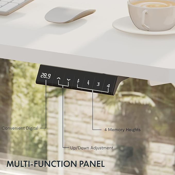 FLEXISPOT EN2 Whole-Piece Standing Desk with Clamp Power Strip, 48x24 Electric Stand Up Height Adjustable Desk with Cable Management (White Frame + 48" White Top)