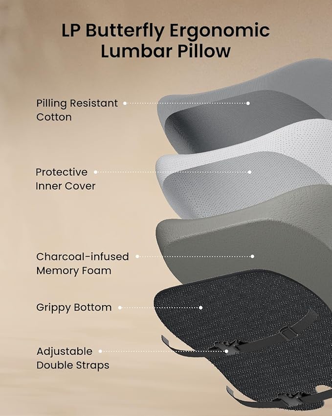 ProtoArc Lumbar Support Pillow for Office Chair, Memory Foam Back Support Pillow for Lower Back Fatigue Relief, Lumbar Cushion Desk Chair Back Cushion, Ergonomic Back Rest for Chair, Car - Gray