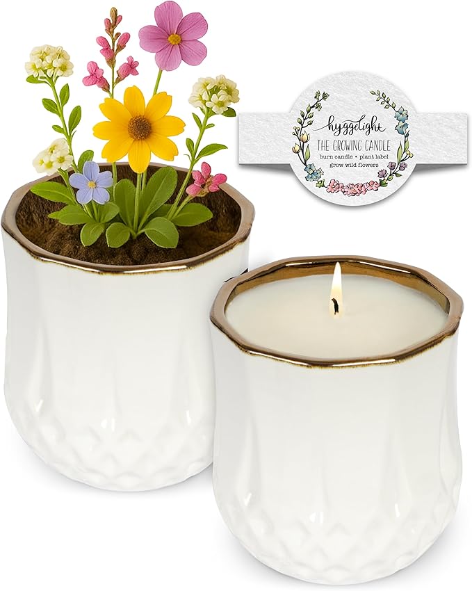 The Growing Candle, Coffee Scented, 9oz Ceramic Pot, Aromatherapy Candles, 100% Soy, Cream and Espresso Aroma for Home, Astrid