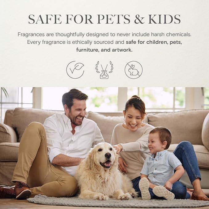 Diffuser Oil - Day Dream | Inspired by Westin® Hotel White Tea Scent | Aromatherapy Home Fragrance| Luxurious Scent with Notes of Aloe Vera, Cedar, White Tea (20ml)