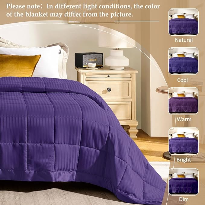 downluxe Queen Size Blanket with Satin Trim, Lightweight Down Alternative Blankets Queen Size for All Season, Machine Washable (Purple, 90x90 Inch)