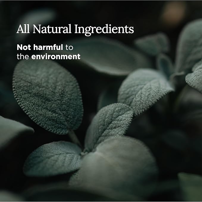 MAGNIFICENT 101 Sage & Palo Santo Aromatherapy Candle - 6 Oz White Soy Wax - 35-Hour Burn & Energy Cleansing - Manifestation & Meditation Accessories - Spiritual Decor & Gifts for Women