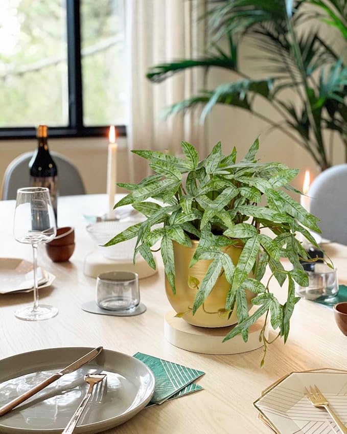 Briful Faux Plants Indoor 9'' Small Artificial Plant with Gold Pot Fake Pteris Cretica Fern Plant for Home Office Room Desk Shelf Decor Indoor