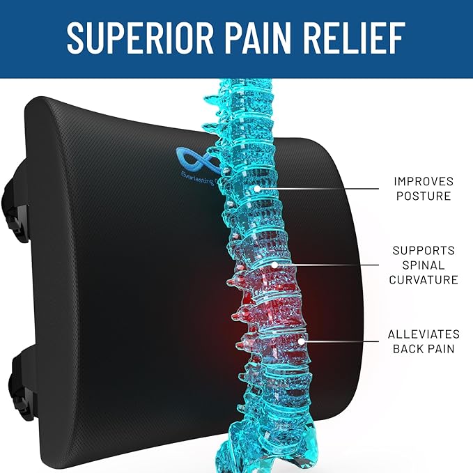 Everlasting Comfort Lumbar Support Cushion for Car Seat - Gel Infused Back Cushion for Car - Lumbar Support Promotes Better Posture, Back Pain Relief - Ideal for Driving