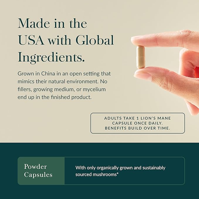 Gaia Herbs Lion’s Mane Mushroom - Brain & Nerve Health Support - 120 Vegan Capsules