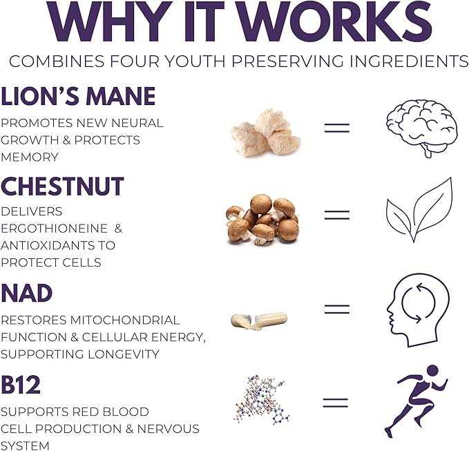 Everyday Youth - Anti-Aging Supplement - Brain & Cellular Energy Formula – Lion’s Mane, Chestnut, NAD, B12 + Beta-Glucans - 120 Vegan Capsules