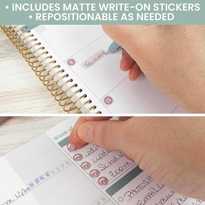 bloom daily planners Calendar Essentials Planner Stickers - 8 Sheets, 1629 Stickers Per Pack! - Color Coordinating Monthly Headings, Dates, Icons, Etc. - Retro Rainbow