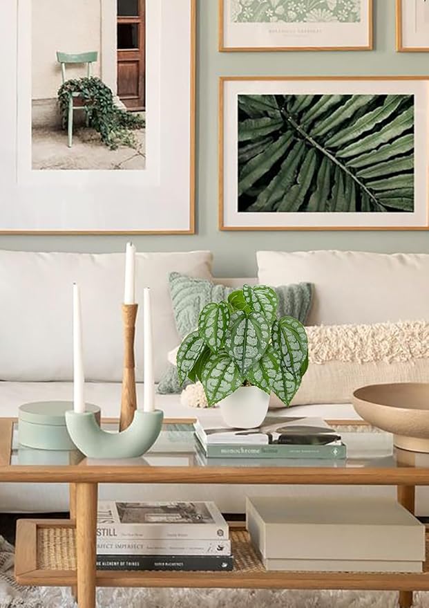 Fake Plants Small Faux Potted Plant 9.8 Inches Fake Piper Sylvaticum with Pot Artificial Plants Indoor for Home Decor Bedroom Aesthetic Bathroom Shelf Living Room Office Kitchen Table Decoration