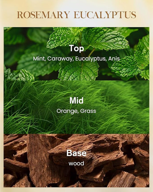 M&SENSE Rosemary Eucalyptus Scented Candle Home Decor, Natural Soy Wax,4.1oz 60 Hours Long Lasting Slow Burning, Aromatherapy Candle for Stress Relief