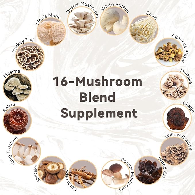 Mushroom Powder, 16-Mushroom Adaptogen Blend with L-Theanine for Coffee, Tea, Milk, Fruit Salad, Smoothies, or Recipes (180g/90 Servings)