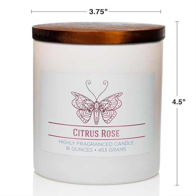 Carolina Citrus Rose Scented Candle, 16 oz Wellness Relaxing Aromatherapy Candle, 2 Wick White Jar Soy Blend Wax, Candles for Home, 60H Burn - Made in The USA