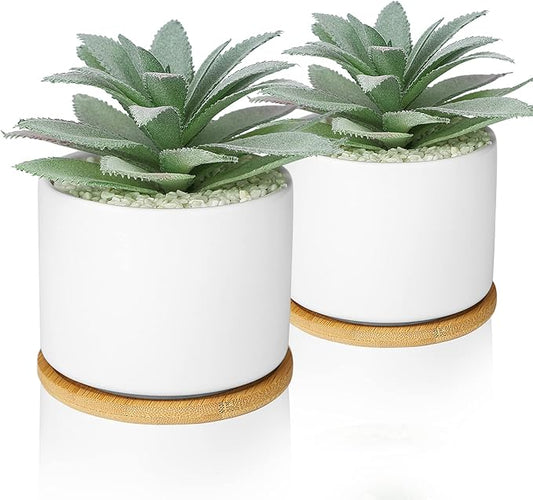 Hopewood Artificial Succulents Plant, Faux Agave Succulent Plant in Ceramic Pots with Bamboo Tray, Fake Potted Plants for Office Desk Living Room Decor(Set of 2)