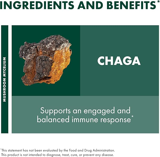 Host Defense Chaga Capsules - Immune System Support Supplement - Chaga Mushroom Capsules for Antioxidant Activity Support - Dietary Mushroom Supplement - 60 Capsules (30 Servings)*
