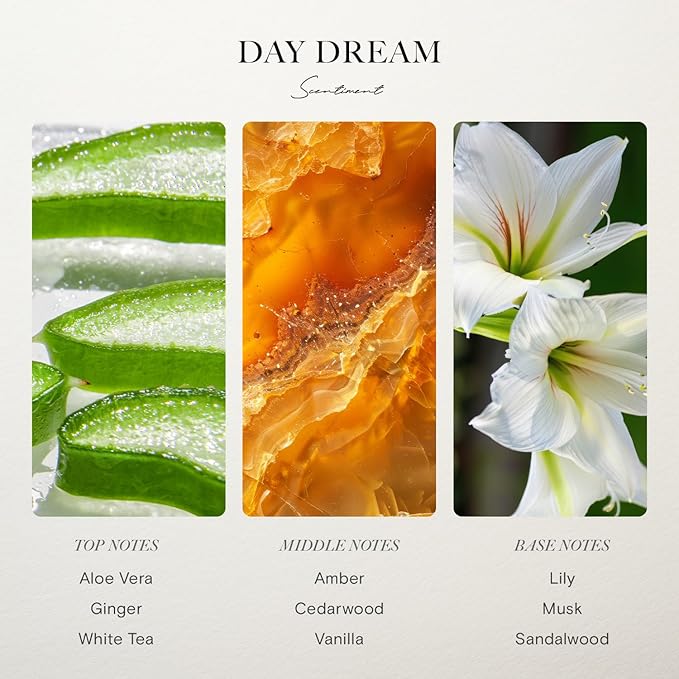 Diffuser Oil - Day Dream | Inspired by Westin® Hotel White Tea Scent | Aromatherapy Home Fragrance| Luxurious Scent with Notes of Aloe Vera, Cedar, White Tea (20ml)