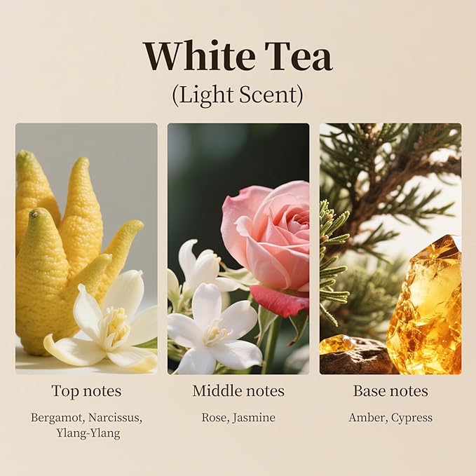 White Tea Scent Aroma Diffuser Refill,Natural Essential Oil Blend,Bulk Bottle for Home,Hotel,500ml (16.9fl oz)