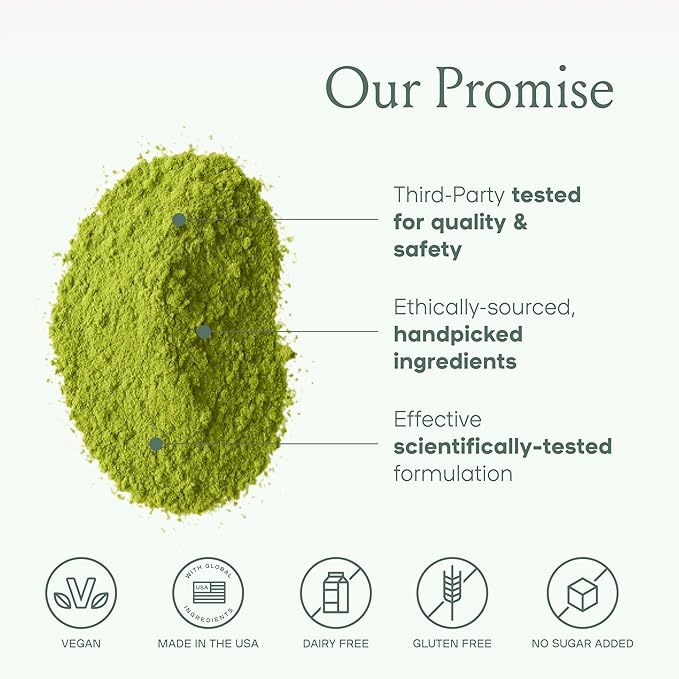 SPACE AND TIME Create - Mushroom Matcha Tea - 20 Cups of Creativity, Energy & Enhanced Mood - Organic Matcha Powder with Lions Mane, L-Theanine & Saffron