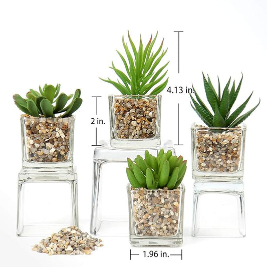 Briful Set of 4 Succulents Plants Artificial in Clear Glass Pots Small Fake Succulents Plants Mini Faux Plants Indoor for Window Sill Office Table Desk Shelf Bathroom Decor
